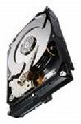 Seagate Constellation CS 7200 3TB (ST3000NC002)