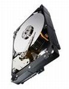 Seagate Constellation ES.3 3TB (ST3000NM0033)