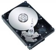 Seagate Constellation 7200.1 1TB (ST31000524NS)