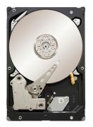 Seagate Constellation ES SATA 1TB (ST1000NM0011)