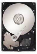 Seagate DB35 160GB (ST3160212ACE)