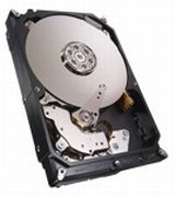Seagate NAS HDD 3TB (ST3000VN000)
