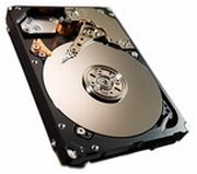 Seagate Savvio 10K.6 300GB (ST300MM0006)