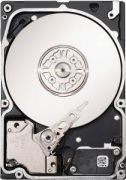 Seagate Constellation ES SAS 1TB (ST1000NM0001)