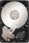 Seagate