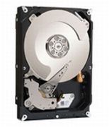 Seagate