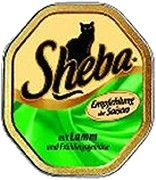 Sheba