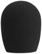 Shure A32WS