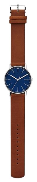 Skagen Signatur (SKW6355)
