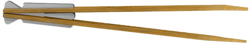 Skotti