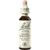 Nelsons BACHBLUETEN WHITE CHESTNUT TROPFEN 20 ML Nelsons BACHBLUETEN WHITE CHESTNUT TROPFEN 20 ML