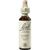 Nelsons BACHBLUETEN GORSE TROPFEN 20 ML Nelsons BACHBLUETEN GORSE TROPFEN 20 ML