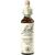 Nelsons BACHBLUETEN CHICORY TROPFEN 20 ML Nelsons BACHBLUETEN CHICORY TROPFEN 20 ML