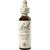 Nelsons BACHBLUETEN WILLOW TROPFEN 20 ML Nelsons BACHBLUETEN WILLOW TROPFEN 20 ML