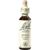 Nelsons BACHBLUETEN HOLLY TROPFEN 20 ML Nelsons BACHBLUETEN HOLLY TROPFEN 20 ML