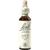 Nelsons BACHBLUETEN LARCH TROPFEN 20 ML Nelsons BACHBLUETEN LARCH TROPFEN 20 ML