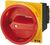 Eaton (Moeller) Hauptschalter P1-32/EA/SVB Eaton (Moeller) Hauptschalter P1-32/EA/SVB