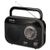 Sencor SRD 210 Sencor SRD 210