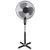 Esperanza Hurricane (EHF001KE) Esperanza Hurricane (EHF001KE)
