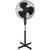 Esperanza Hurricane (EHF001KK) Esperanza Hurricane (EHF001KK)
