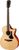Eastman AC322CE Eastman AC322CE