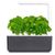 Click & Grow Smart Garden 3 + Substratkapsel Click & Grow Smart Garden 3 + Substratkapsel
