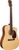 Anchor Guitars Eagle CW AE Anchor Guitars Eagle CW AE