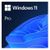 Microsoft Windows 11 Pro Englisch Microsoft Windows 11 Pro Englisch