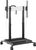 Optoma RISE 5305 Optoma RISE 5305
