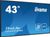 iiyama ProLite LE4341S-B2 iiyama ProLite LE4341S-B2