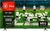 TCL 65" Q6C Premium QD-Mini LED TV 65Q6C TCL 65" Q6C Premium QD-Mini LED TV 65Q6C