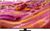 Samsung 75" Neo QLED QN90F 4K Vision AI Smart TV (2025) QE75QN90FAT Samsung 75" Neo QLED QN90F 4K Vision AI Smart TV (2025) QE75QN90FAT