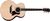 Taylor Legacy 815e Taylor Legacy 815e