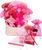 Catrice Twinkling Treasures Adventskalender 2025 Catrice Twinkling Treasures Adventskalender 2025