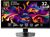 MSI MPG 321URXDE QD-OLED (9S6-3DD29A-056) MSI MPG 321URXDE QD-OLED (9S6-3DD29A-056)