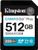 Kingston Canvas Go! Plus Gen4 SDXC 512GB (SDG4/512GB) Kingston Canvas Go! Plus Gen4 SDXC 512GB (SDG4/512GB)