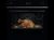 AEG 7000 MealAssist TR7PB63ZSB AEG 7000 MealAssist TR7PB63ZSB