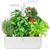 Veritable Classic (VPOT-CAWAW-A-1) Veritable Classic (VPOT-CAWAW-A-1)