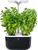 Veritable Exky Smart (VEXK-SSBAS-FR-41) Veritable Exky Smart (VEXK-SSBAS-FR-41)
