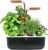 Veritable Smart (VPOT-SSBCO-A-5) Veritable Smart (VPOT-SSBCO-A-5)