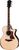 Taylor Guitars Next Generation 814ce Taylor Guitars Next Generation 814ce