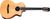 Taylor Guitars 212ce-N Plus Taylor Guitars 212ce-N Plus