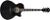 Ibanez AE170 Ibanez AE170