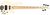 Lakland Skyline Series 55-02 Custom Lakland Skyline Series 55-02 Custom