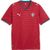 Puma Portugal 2026 Heimtrikot Herren Puma Portugal 2026 Heimtrikot Herren