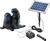 Esotec Solar Wasserspeier-Set Seehundpaar Paula & Paul (101656) Esotec Solar Wasserspeier-Set Seehundpaar Paula & Paul (101656)