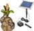 Esotec Solar Wasserspeier-Set Froschpaar auf Steinen (101662) Esotec Solar Wasserspeier-Set Froschpaar auf Steinen (101662)