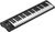 icon Pro Audio Artist 49 icon Pro Audio Artist 49