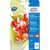 Avery Zweckform Photopapier 50 Blatt 250 g/qm Avery Zweckform Photopapier 50 Blatt 250 g/qm