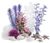 biOrb Decor Set 30 l Pink Ocean biOrb Decor Set 30 l Pink Ocean